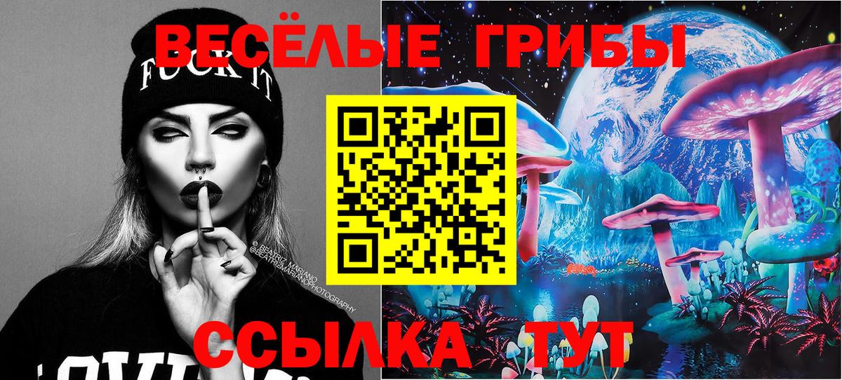 Архангельск  Галлюциногенные грибы Psilocybe  Вход с VPN 