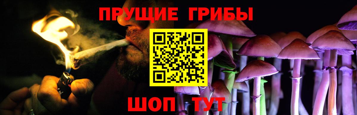 Псилоцибиновые грибы ЛСД Архангельск